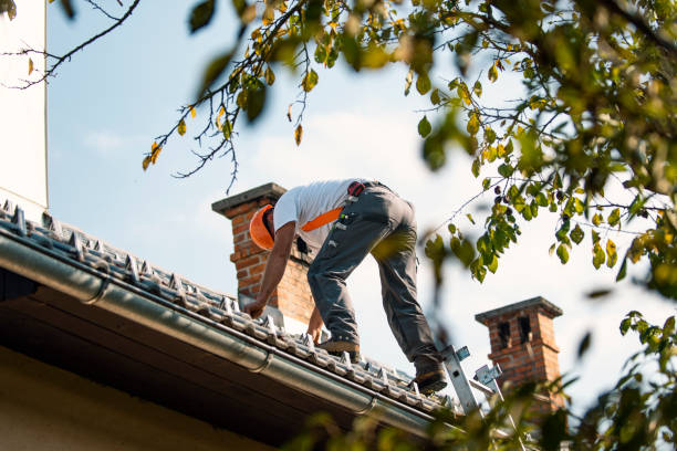 Best Roof Moss and Algae Removal  in Pottstown, PA